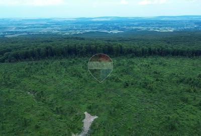 Teren de 447000 mp, în Șerbăuți