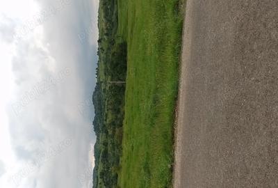 Teren de 3600 mp, în Aluniș - 7