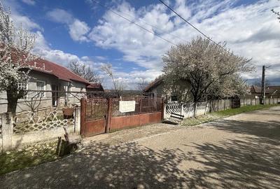 Casă cu 3 camere în Central