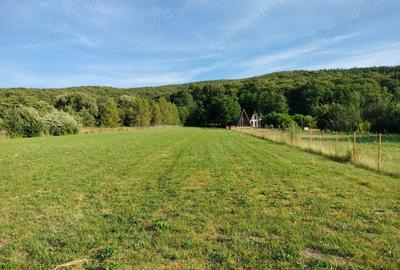 Teren de 5100 mp, în Lisnău - 2