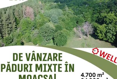Spațiu comercial, în Moacșa - 3
