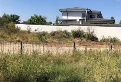 Teren de 2000 mp, în Coșoveni - 1