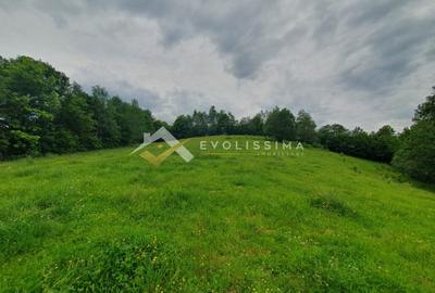 Teren Construcții intravilan de 11396 mp, în Moieciu de Jos - 8