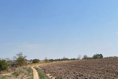 Teren de 10445 mp, în Cernica - 1