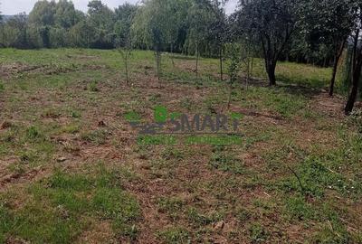 Casă cu 3 camere cu Teren 1600 Mp în Orașul Vechi