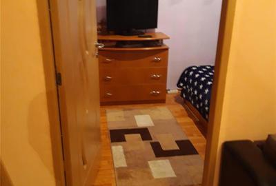 Apartament cu 2 camere semidecomandat în Valea Rosie - 9