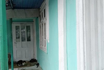 Casă cu 2 camere cu Teren 1000 Mp în Central - 8