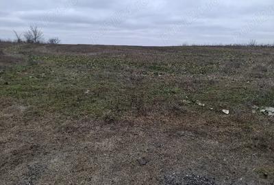 Teren de 2200 mp, în Gruiu - 2