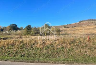Teren de 700 mp, în Hăpria - 1