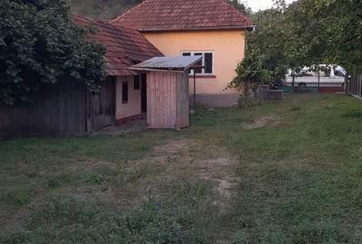 Casă cu 2 camere cu Teren 1567 Mp în Băița - 2