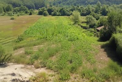 Teren Construcții intravilan de 7000 mp, în Seculești - 12