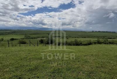 Teren agricol extravilan de 11500 mp, în Daia - 8