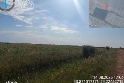 Teren de 2500 mp, în Vest - 3