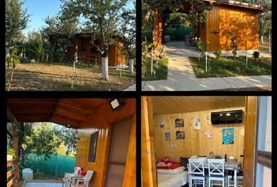 Casă cu 4 camere în Viile Satu Mare