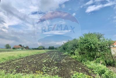 Teren Construcții intravilan de 3250 mp, în Stupini