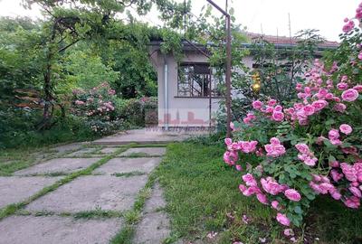 Casă individuală cu 3 camere cu Canalizare în Siliștea Snagovului - 1