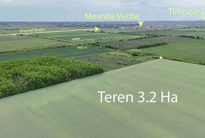 Teren de 32000 mp, în Moșnița Veche - 6