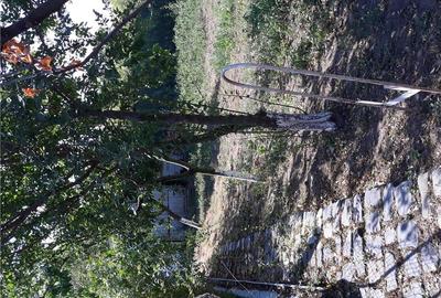 Casă în Bâra - 4