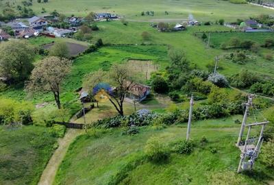 Teren Construcții intravilan de 9000 mp, în Vânători - 4