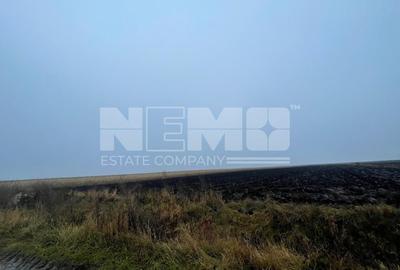 Teren agricol extravilan de 700 mp, în Calafindești - 3
