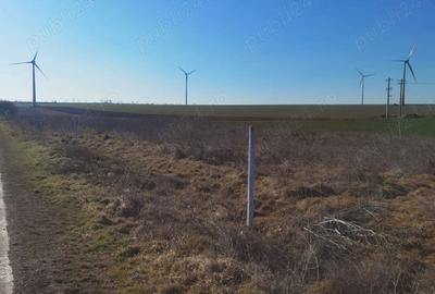 Teren de 900 mp, în Mahmudia