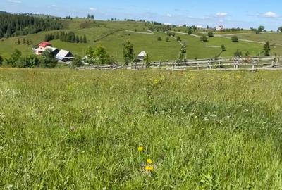Teren de 17434 mp, în Măguri - 7
