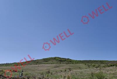 Teren agricol extravilan de 60000 mp, în Agrișteu - 3