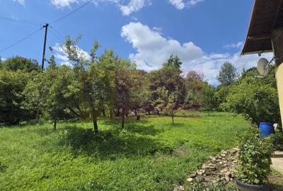 Casă individuală cu 5 camere cu Canalizare în Provița de Sus - 22