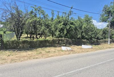 Teren de 2295 mp, în Bogați - 1