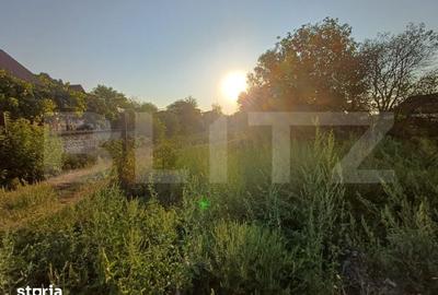 Teren de 3600 mp, în Turcinești