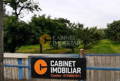 Casă individuală cu 3 camere cu Canalizare în Țuțora