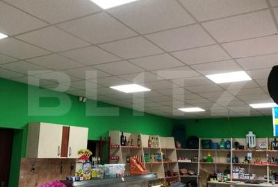 Casă cu 5 camere cu Teren 200 Mp în Agăș - 10