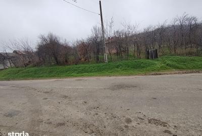 Teren de 2000 mp, în Central