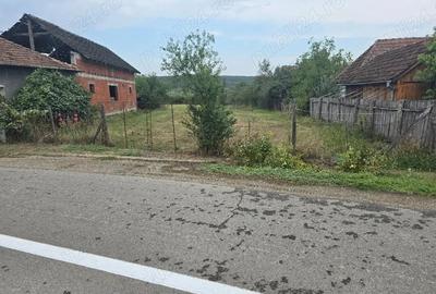Casă cu 5 camere cu Teren 2670 Mp în Haieu - 2