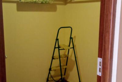 Apartament cu 2 camere decomandat în Snagov - 5