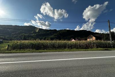 Teren de 1100 mp, în Feldru