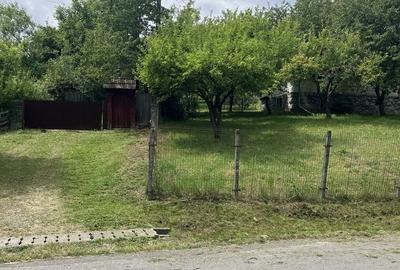 Casă cu 3 camere în Dumbrava - 4