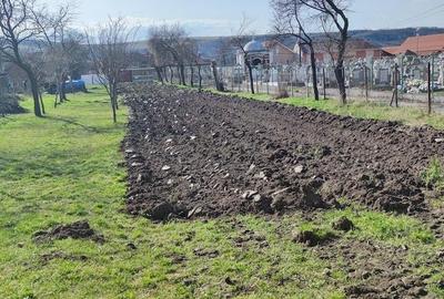 Casă cu Teren 1200 Mp în Central - 1
