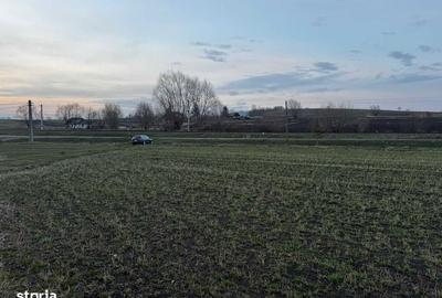 Teren de 7000 mp, în Central - 3