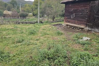 Teren de 800 mp, în Ocolișel - 1