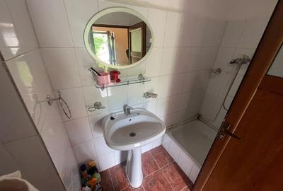 Casă individuală cu 3 camere cu Canalizare în Pianu de Sus - 7