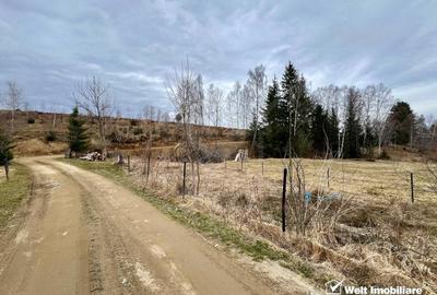 Teren agricol intravilan de 3300 mp, în Râșca - 4
