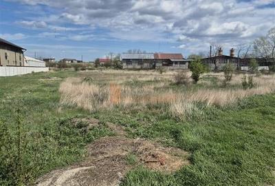 Teren Construcții intravilan de 2400 mp, în Broșteni - 4