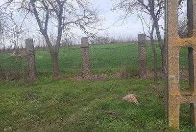 Teren de 3700 mp, în Obad - 6