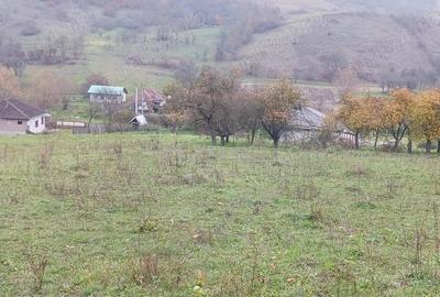 Teren de 7800 mp, în Sântejude - 4