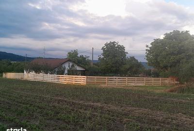 Casă cu 3 camere cu Teren 700 Mp în Merișani - 1