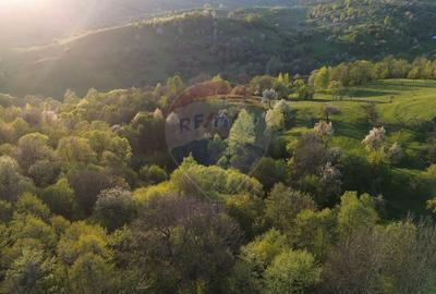 Teren Construcții intravilan de 15459 mp, în Bughea de Sus - 6