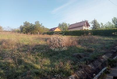 Teren agricol intravilan de 12614 mp, în Ghirolt - 5
