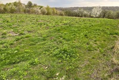 Teren de 4000 mp, în Grajduri - 5