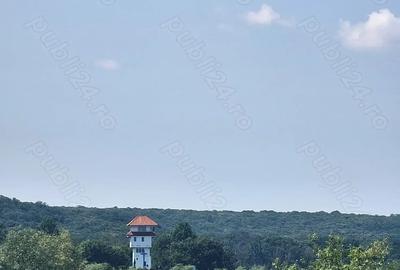 Teren de 250000 mp, în Comana - 3